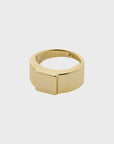 Friends Chunky Ring in Gold