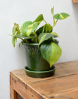 Københavner Glazed Plant Pot / Emerald Green