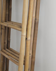 Bamboo Ladder
