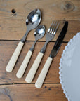 Ivory Stainless Steel Teaspoon