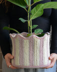 Braided Tulip Baskets / Colours