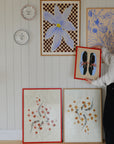 Flowers and Checks 1 by Liat Greenberg /Sizes