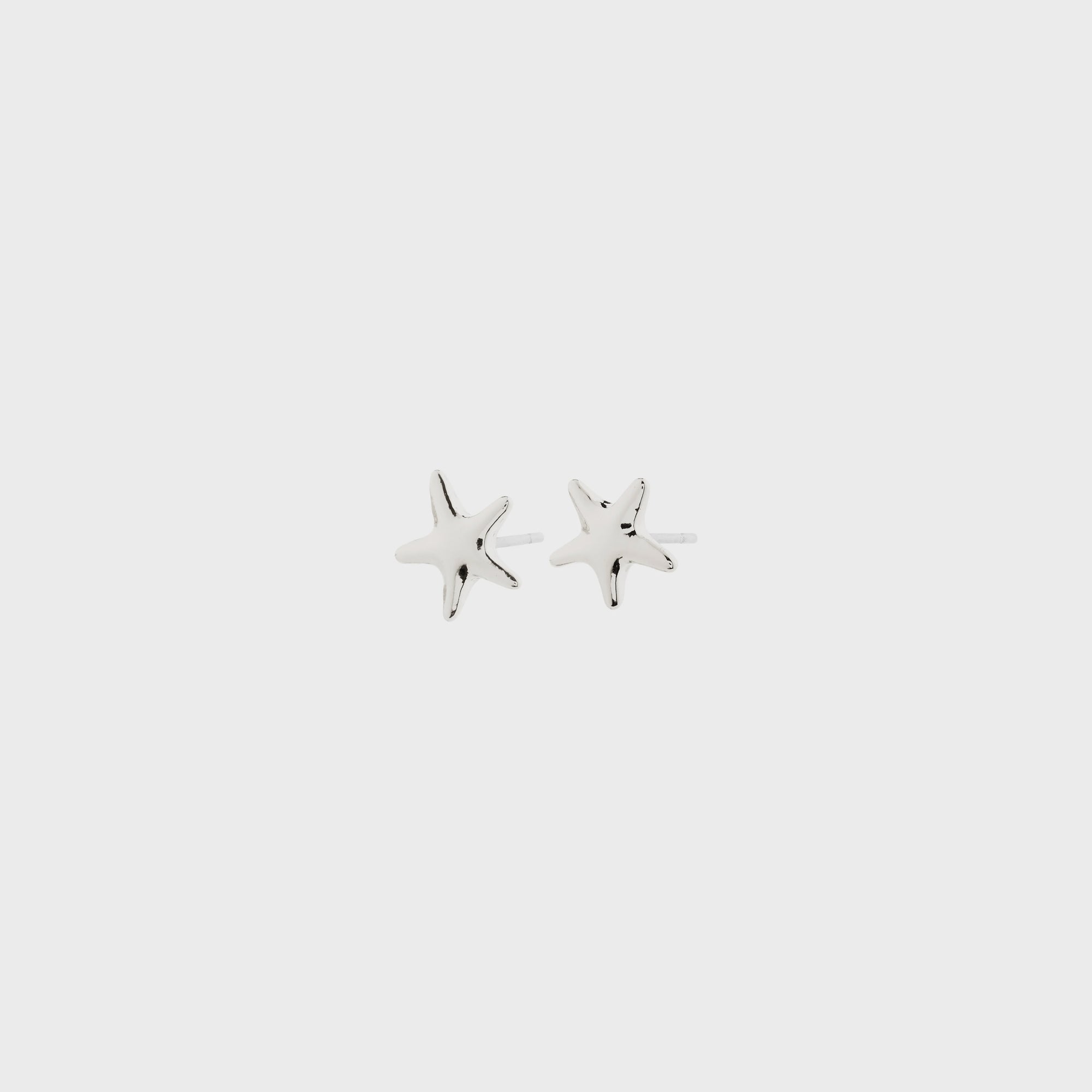 Andre Star Stud Earrings / Silver