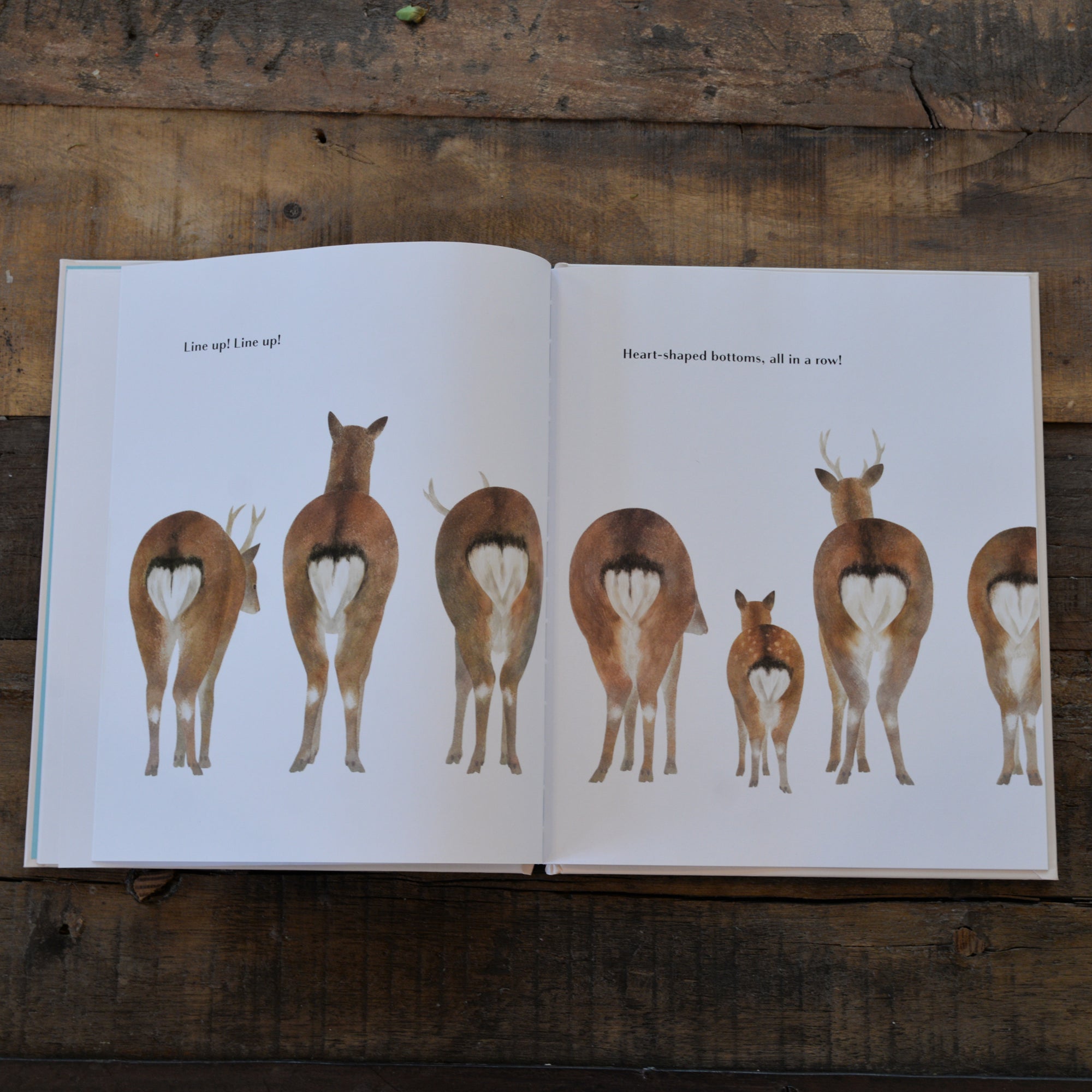 Animals That Brag About Their Bottoms (hardback)