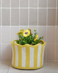 Braided Tulip Baskets / Colours