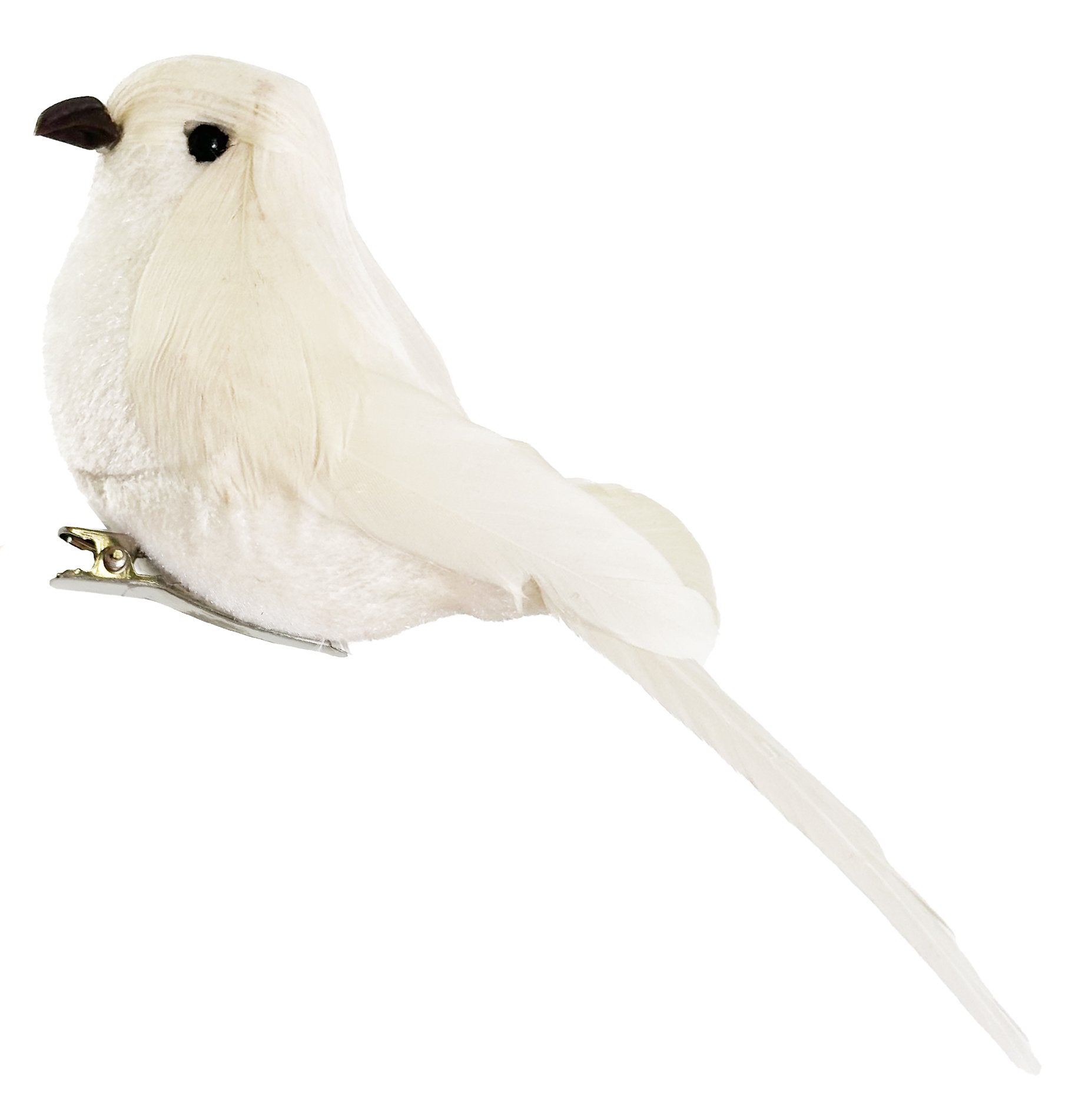 Velvet Feather Bird