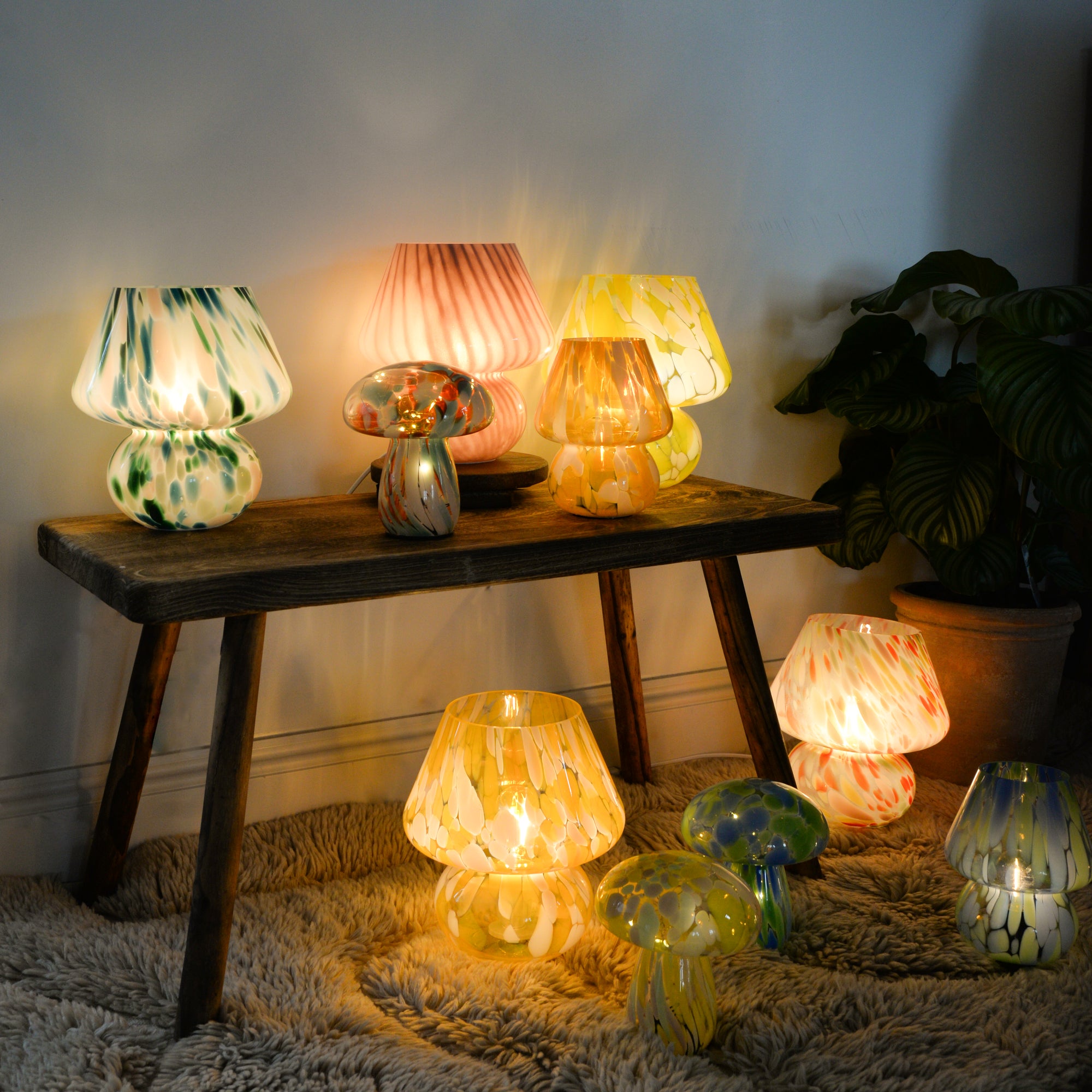 Collection Image