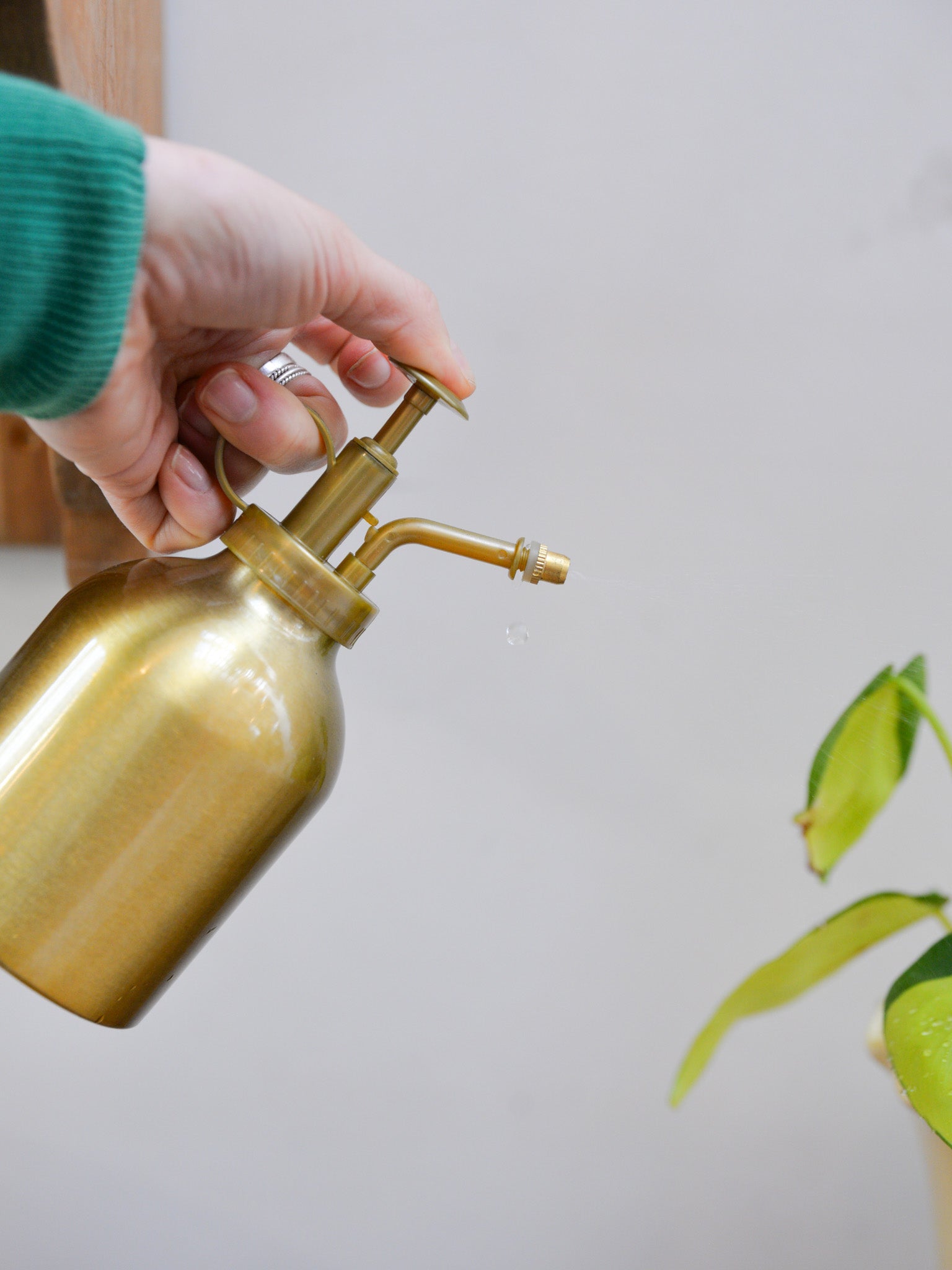 Gold Plant Mister