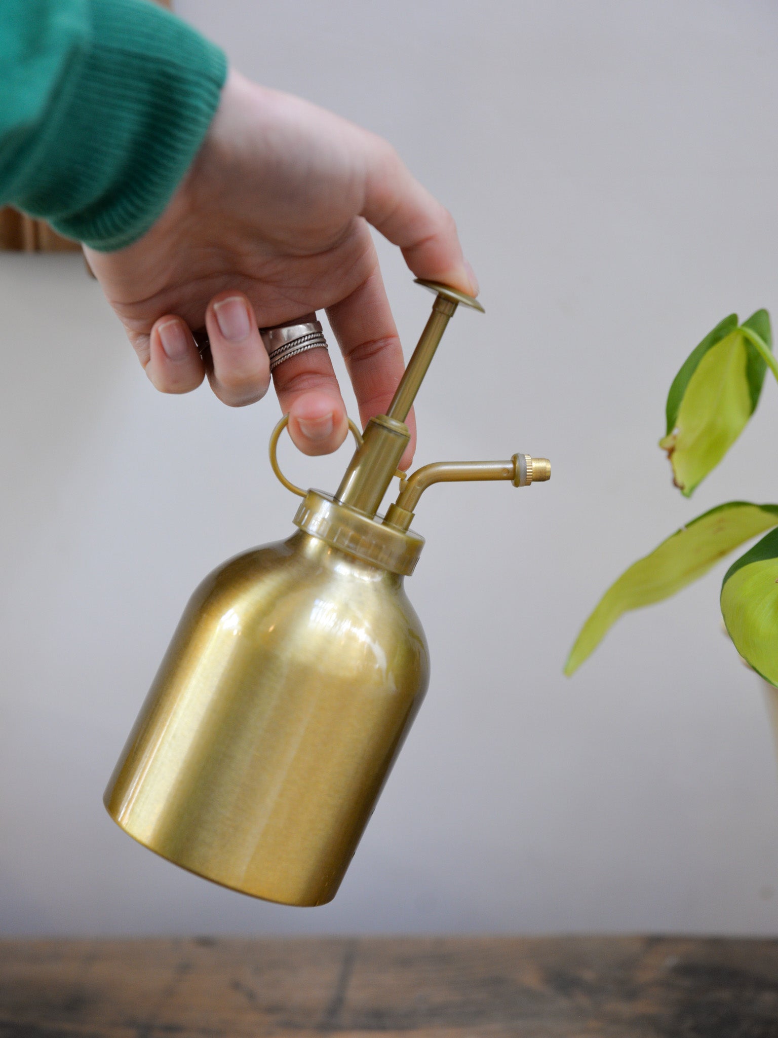 Gold Plant Mister