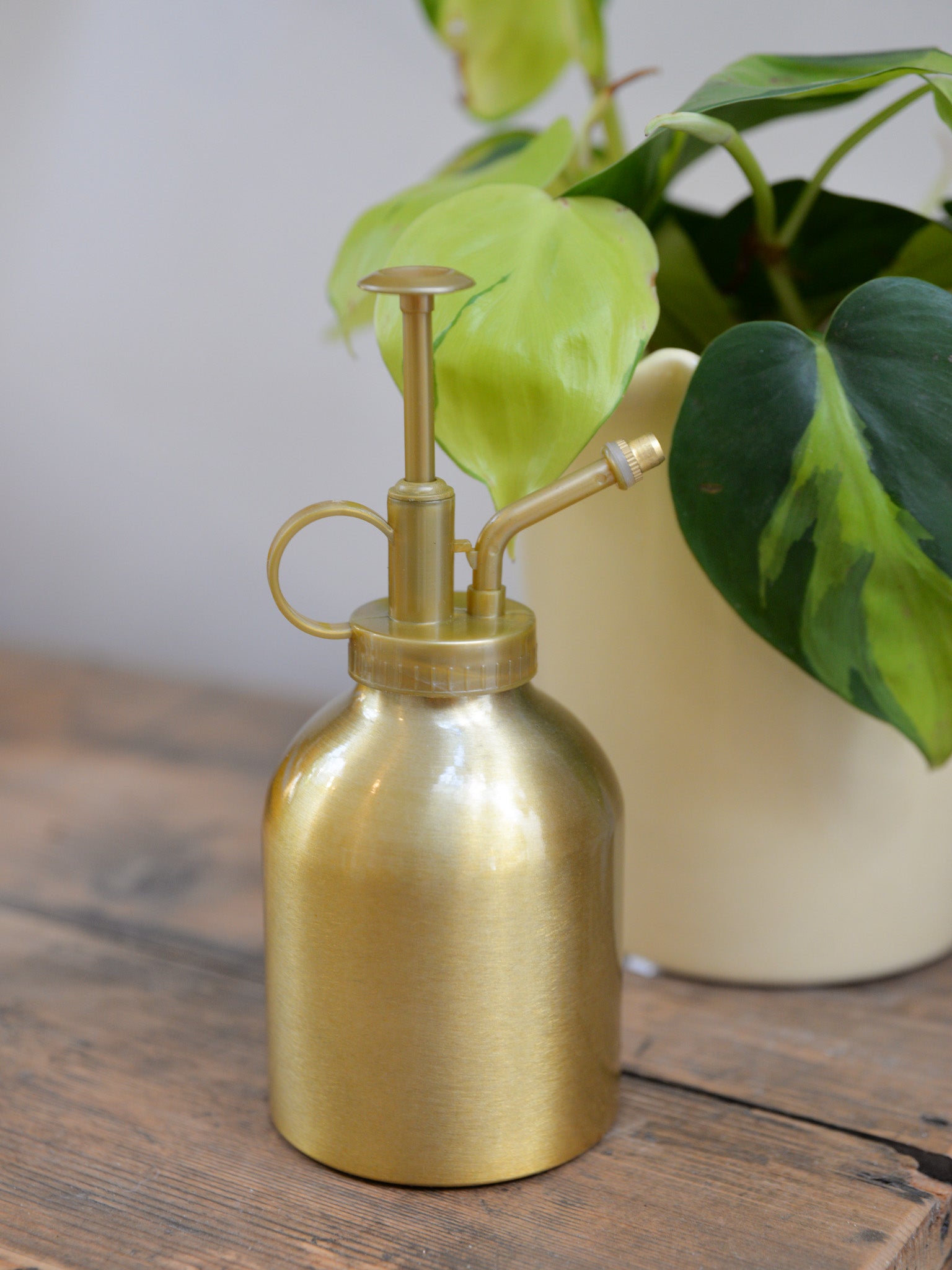 Gold Plant Mister