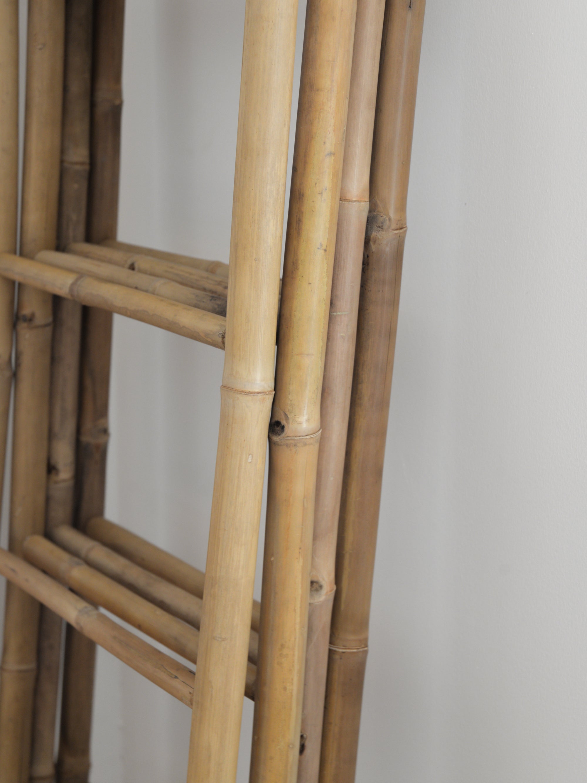Bamboo Ladder