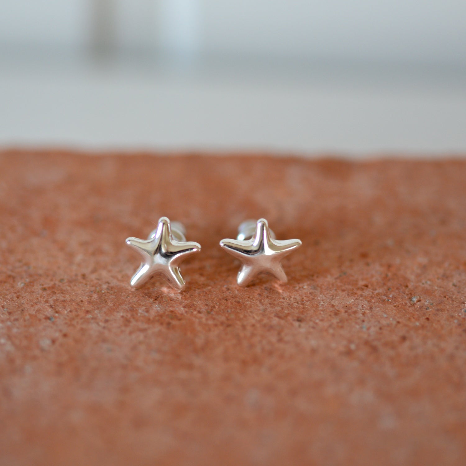 Andre Star Stud Earrings / Silver