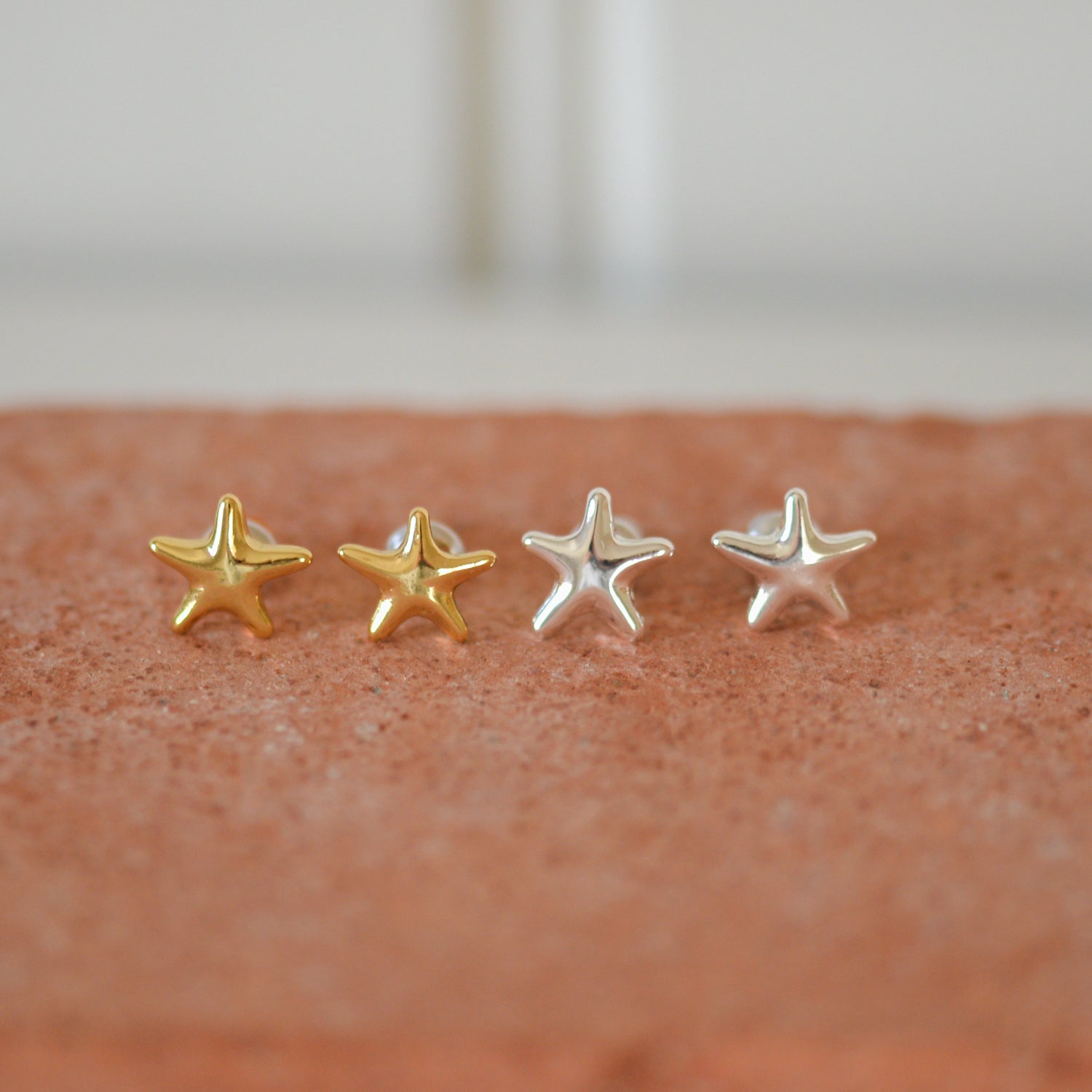 Andre Star Stud Earrings / Silver