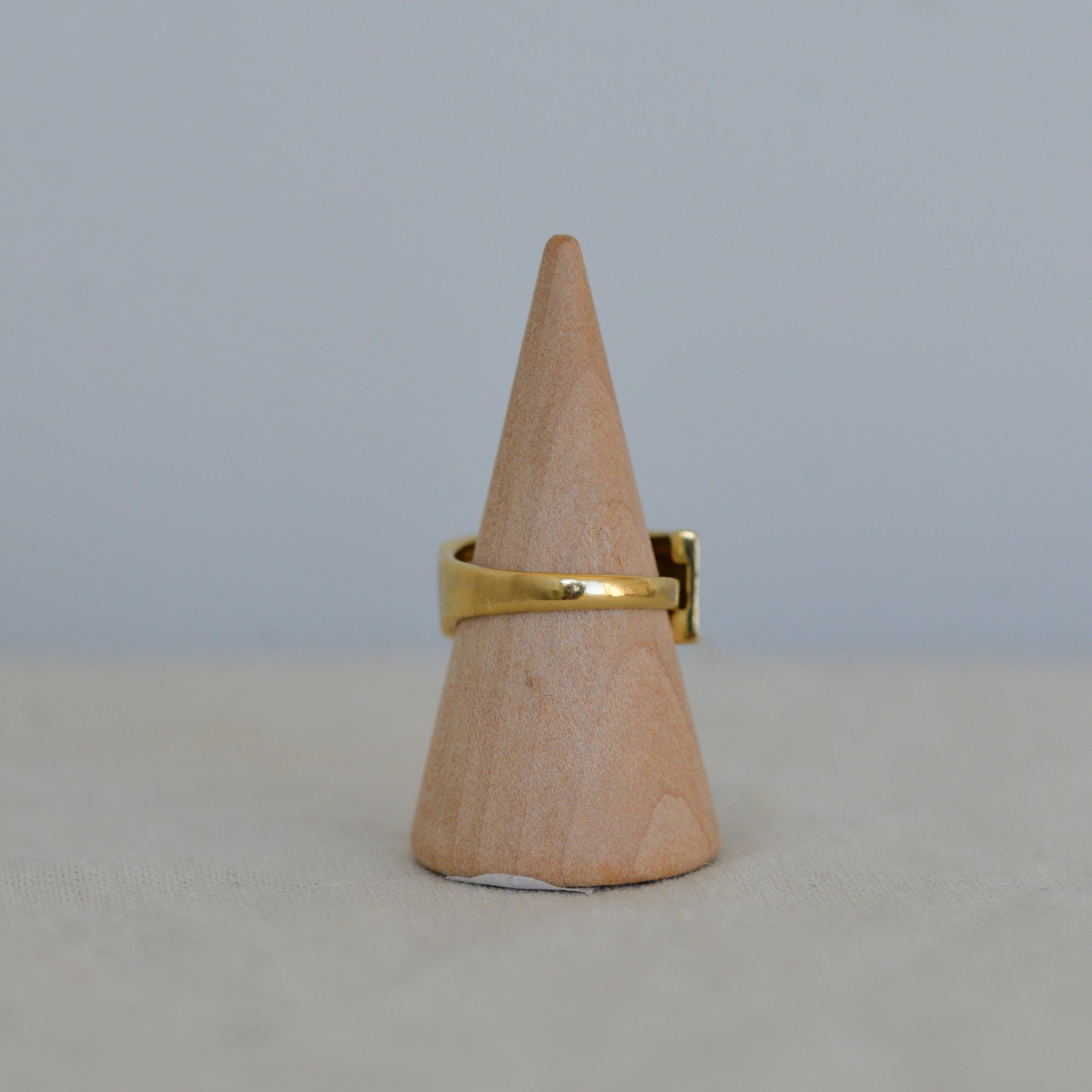 Friends Chunky Ring in Gold