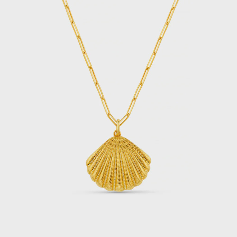 Statement Textured Shell Necklace