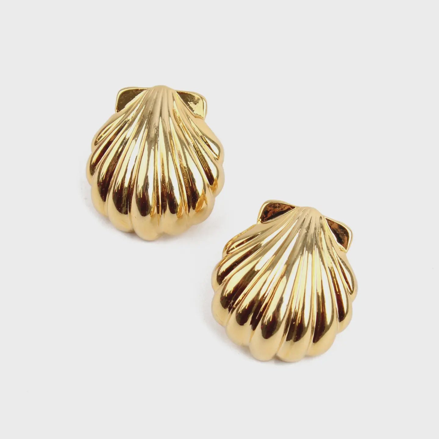 Statement Shell Stud Earrings