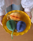 Paper Honeycomb Eggs / Colours
