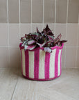 Braided Tulip Baskets / Colours