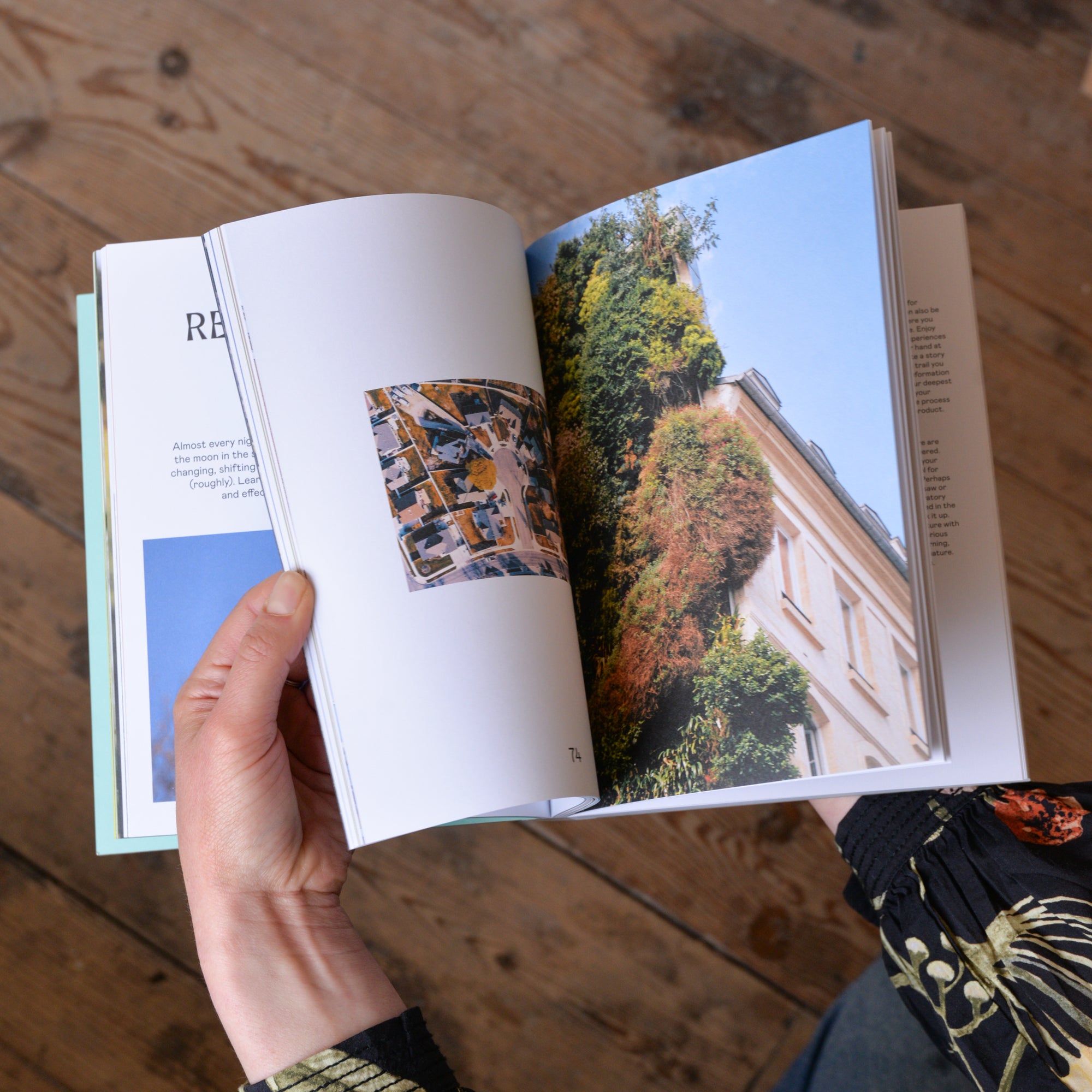 Wild Life: 50 Projects To Rewild Your Life